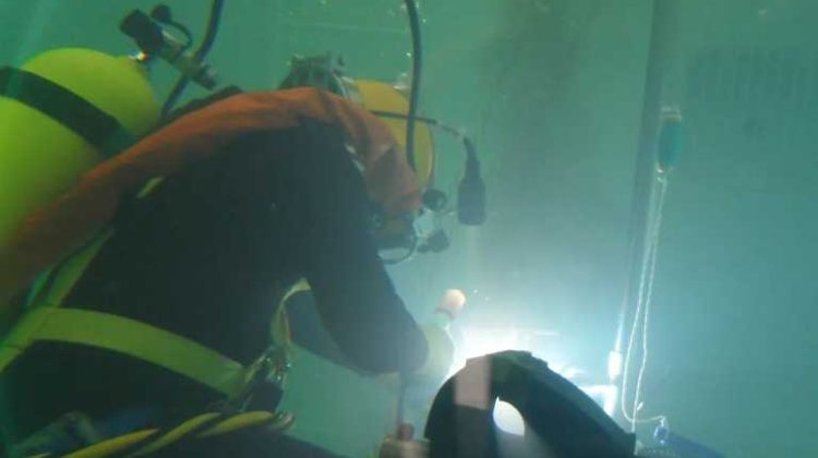 Seabed survey
