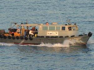 Untitled design (45)