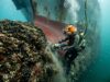 Biofouling