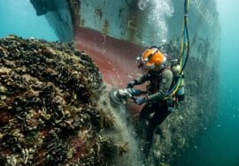 Biofouling